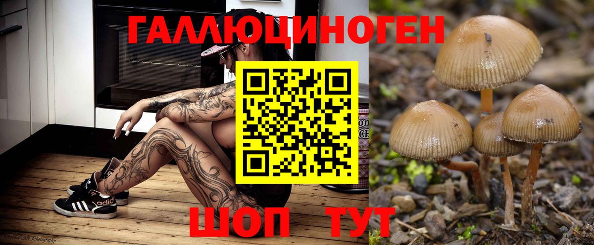 Псилоцибиновые грибы прущие грибы Ярцево